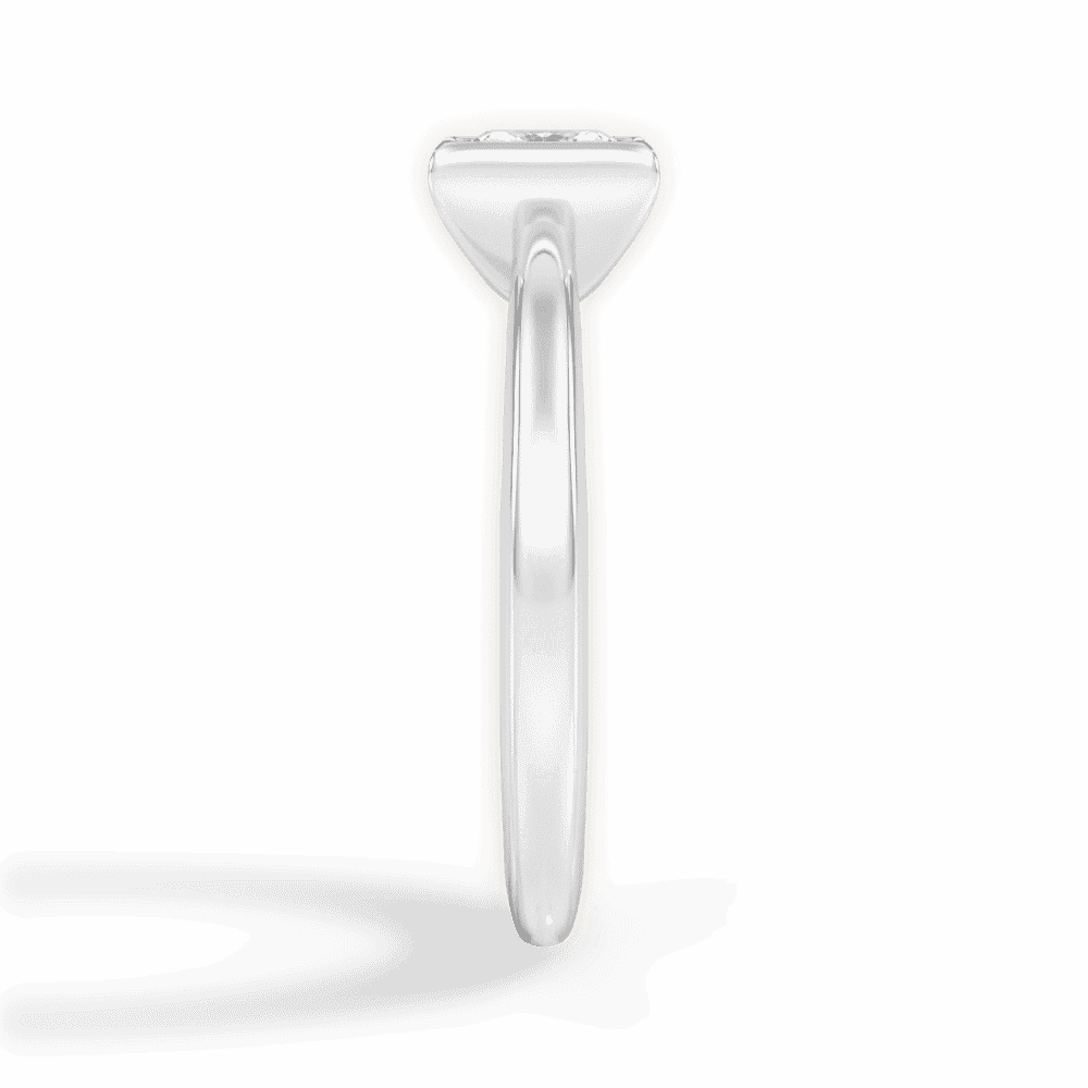 14kt White Gold/18kt White Gold/Platinum/princess/perspective