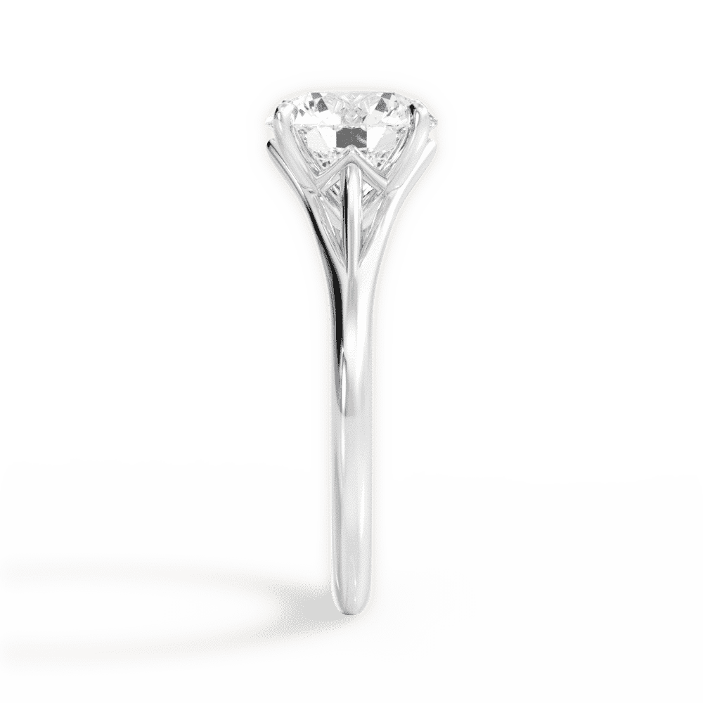 14kt White Gold/18kt White Gold/Platinum/round/perspective