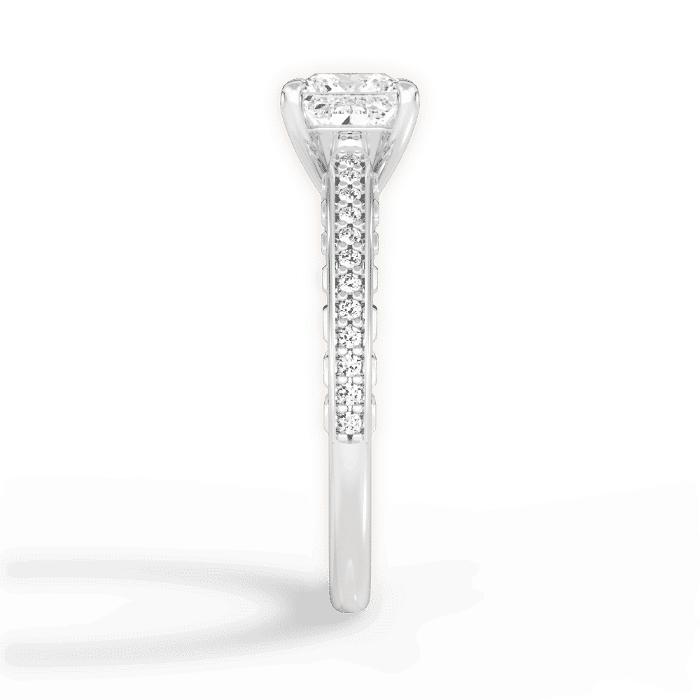 14kt White Gold/18kt White Gold/Platinum/princess/perspective