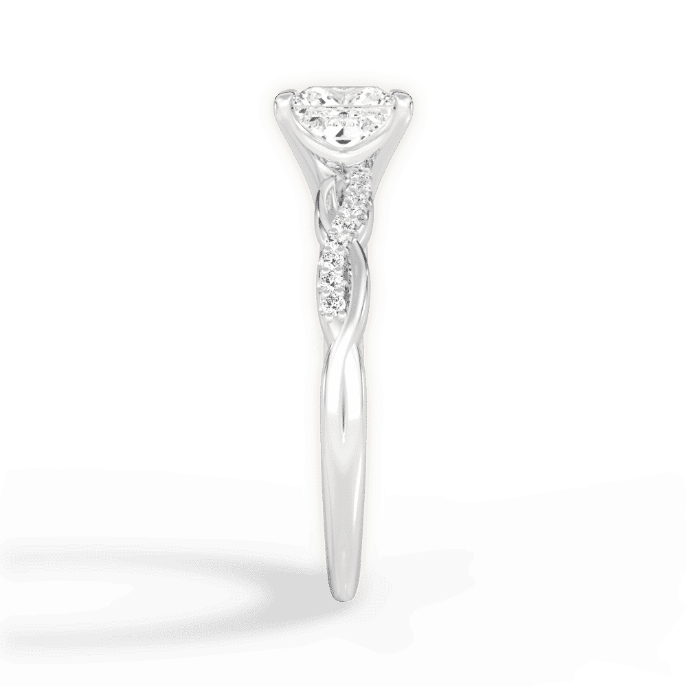 14kt White Gold/18kt White Gold/Platinum/princess/perspective