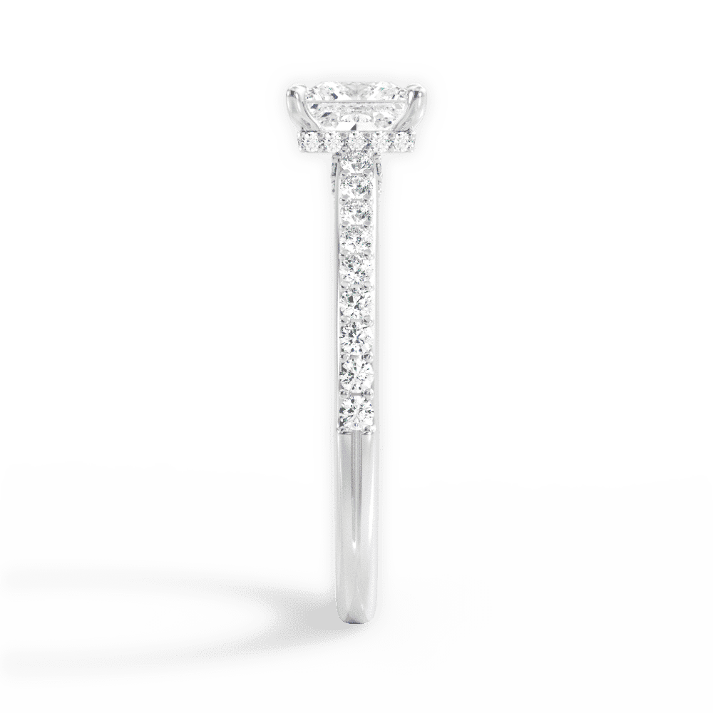 14kt White Gold/18kt White Gold/Platinum/princess/perspective