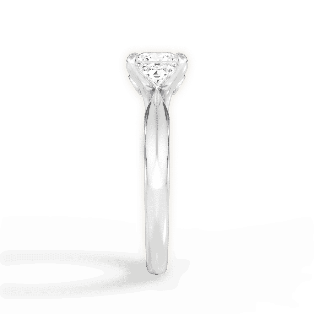 14kt White Gold/18kt White Gold/Platinum/princess/perspective