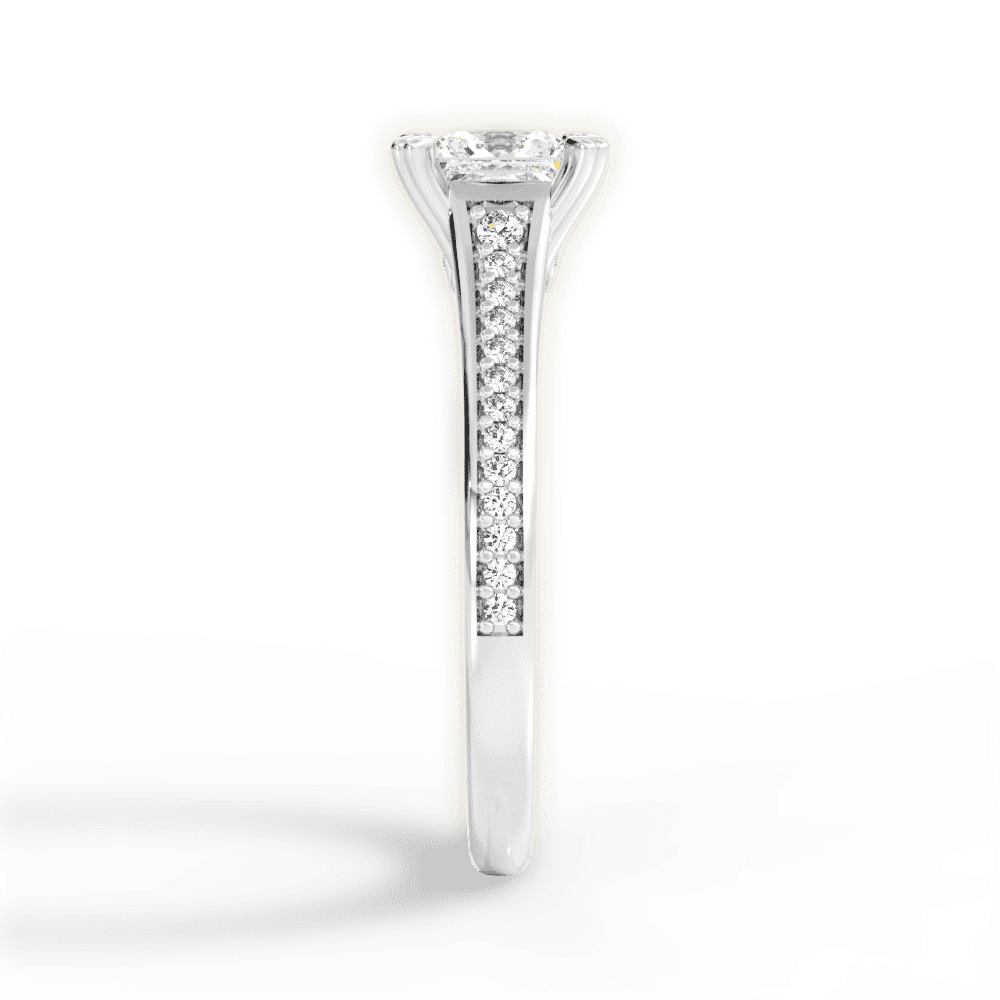 14kt White Gold/18kt White Gold/Platinum/princess/perspective