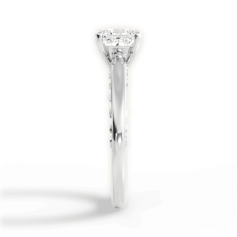 14kt White Gold/18kt White Gold/Platinum/princess/perspective