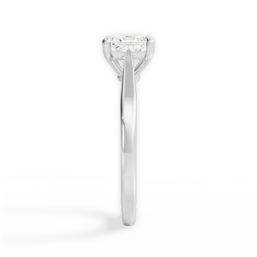 14kt White Gold/18kt White Gold/Platinum/princess/perspective