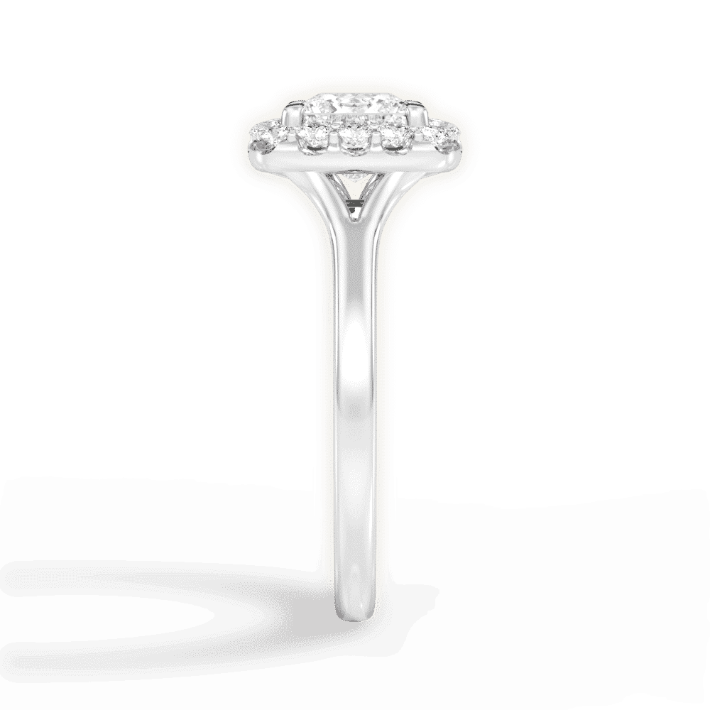 14kt White Gold/18kt White Gold/Platinum/princess/perspective