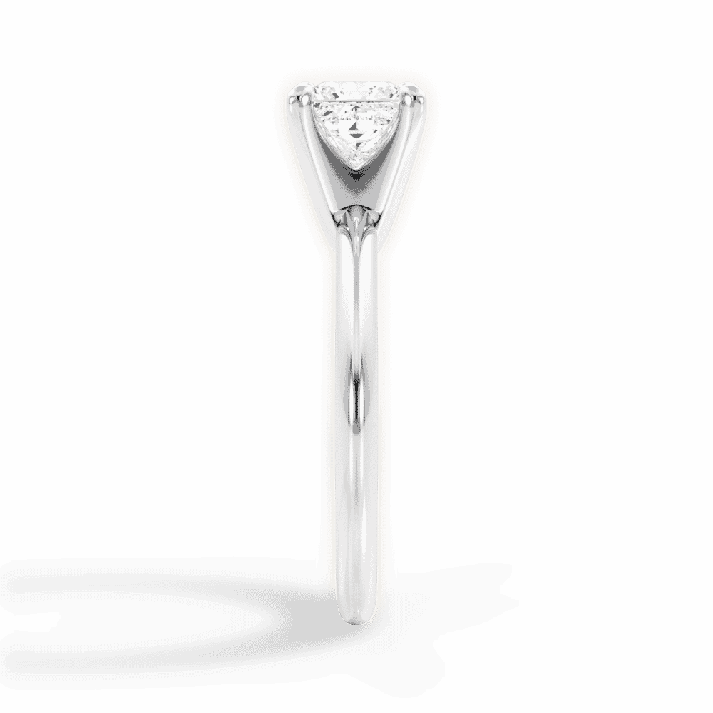14kt White Gold/18kt White Gold/Platinum/princess/perspective