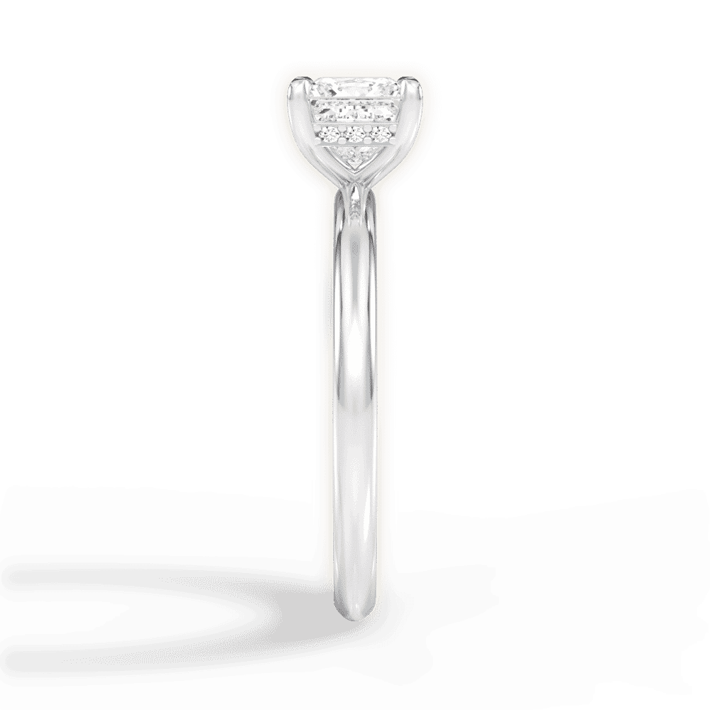 14kt White Gold/18kt White Gold/Platinum/princess/perspective