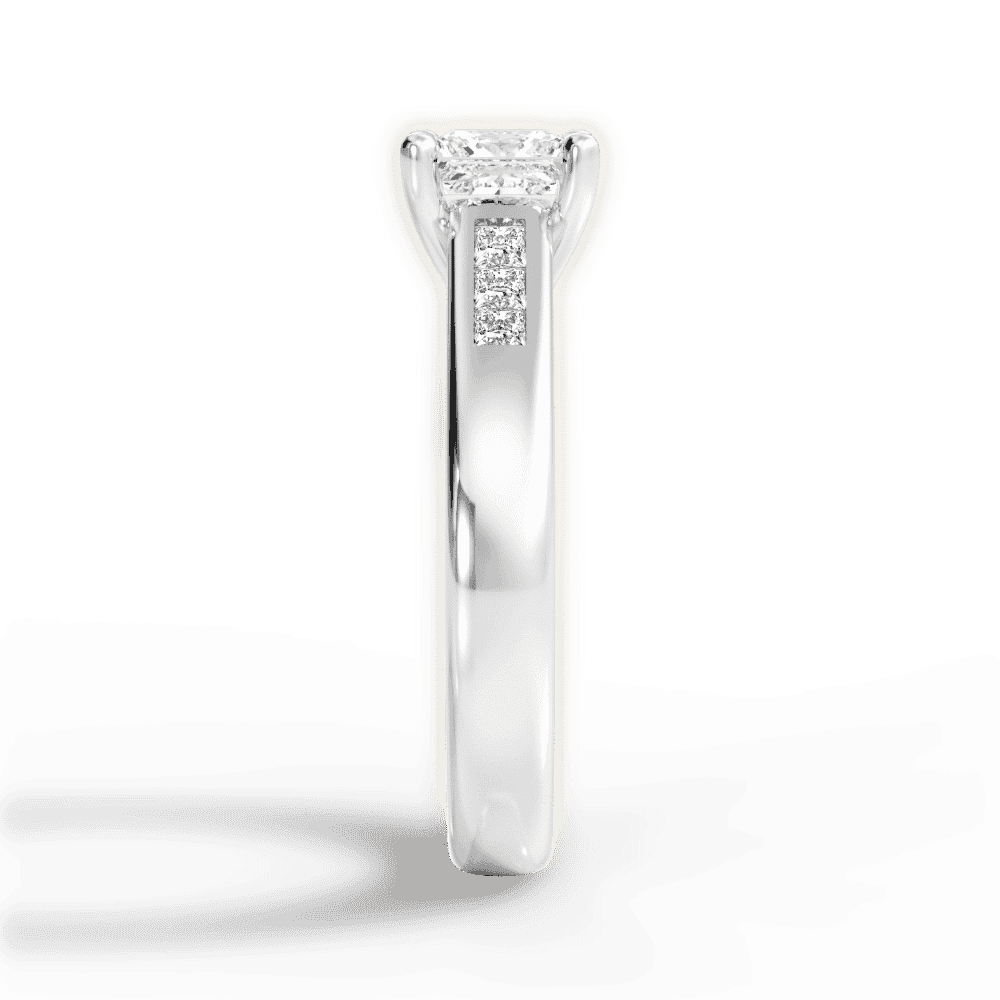 14kt White Gold/18kt White Gold/Platinum/princess/perspective