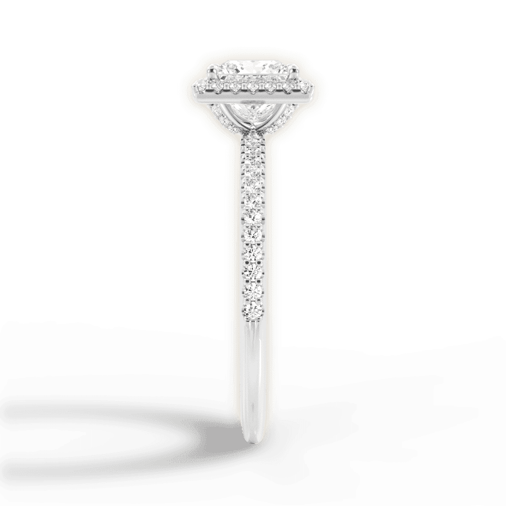 14kt White Gold/18kt White Gold/Platinum/princess/perspective