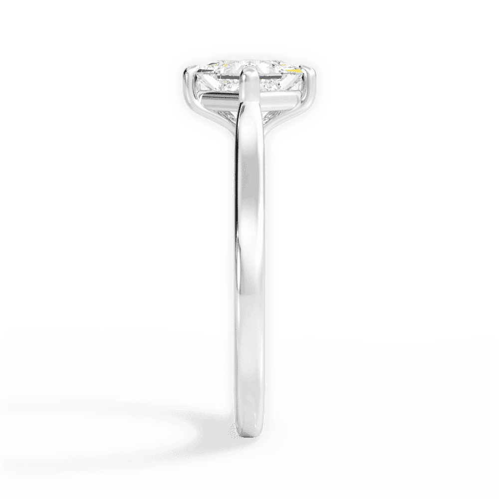 14kt White Gold/18kt White Gold/Platinum/princess/perspective