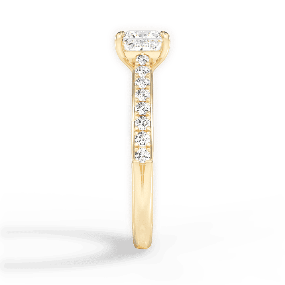 14kt Yellow Gold/18kt Yellow Gold/princess/perspective