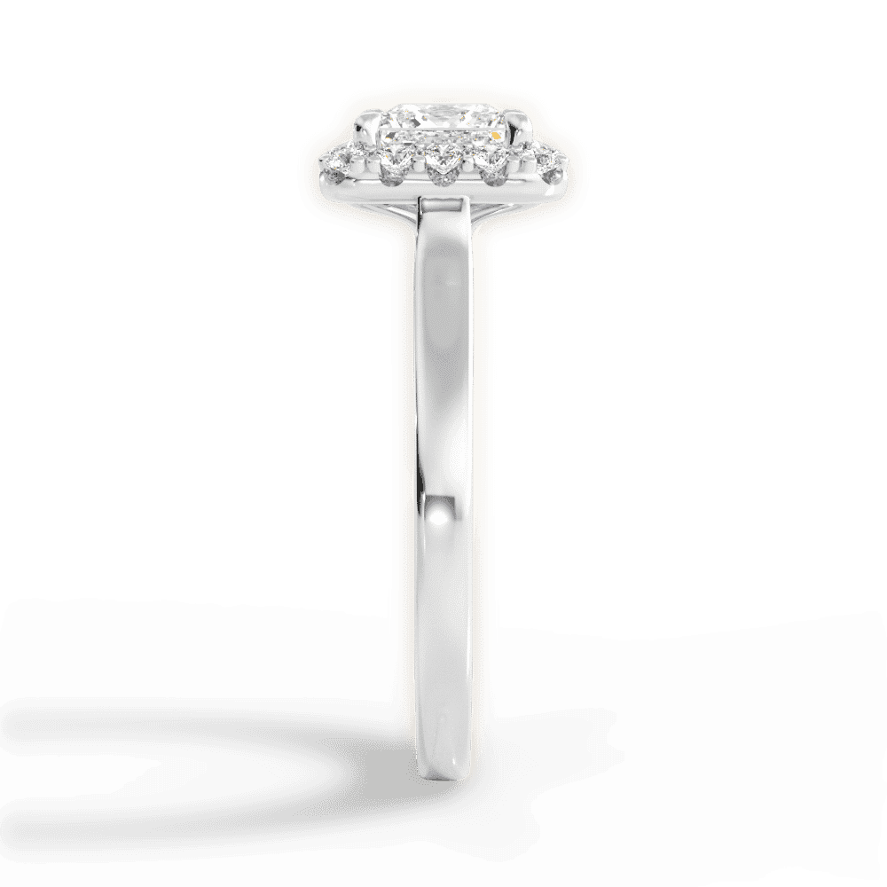 14kt White Gold/18kt White Gold/Platinum/princess/perspective