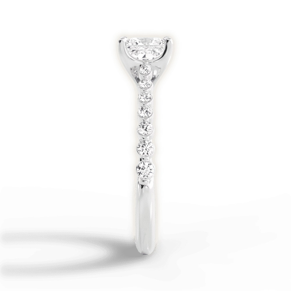 14kt White Gold/18kt White Gold/Platinum/princess/perspective