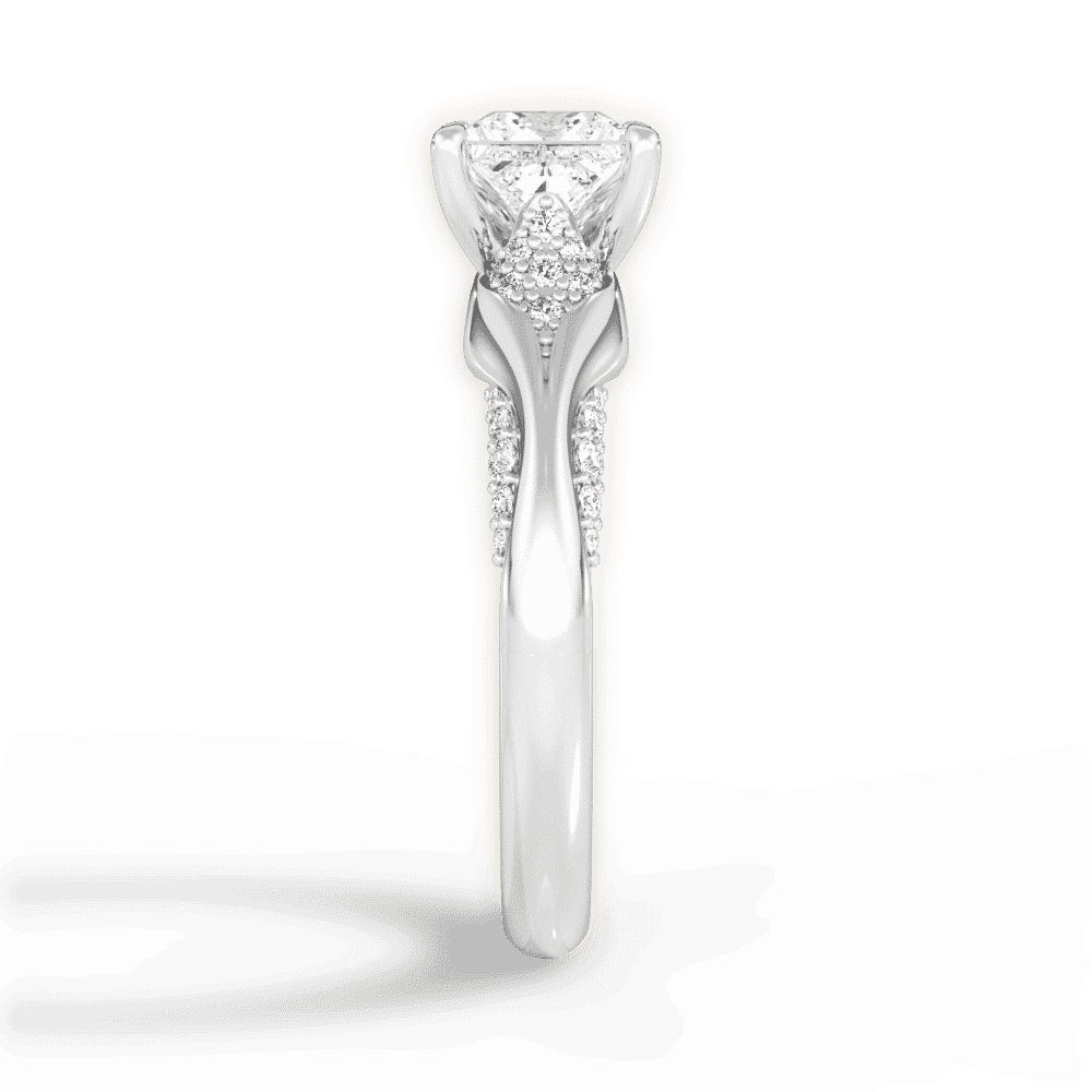 14kt White Gold/18kt White Gold/Platinum/princess/perspective