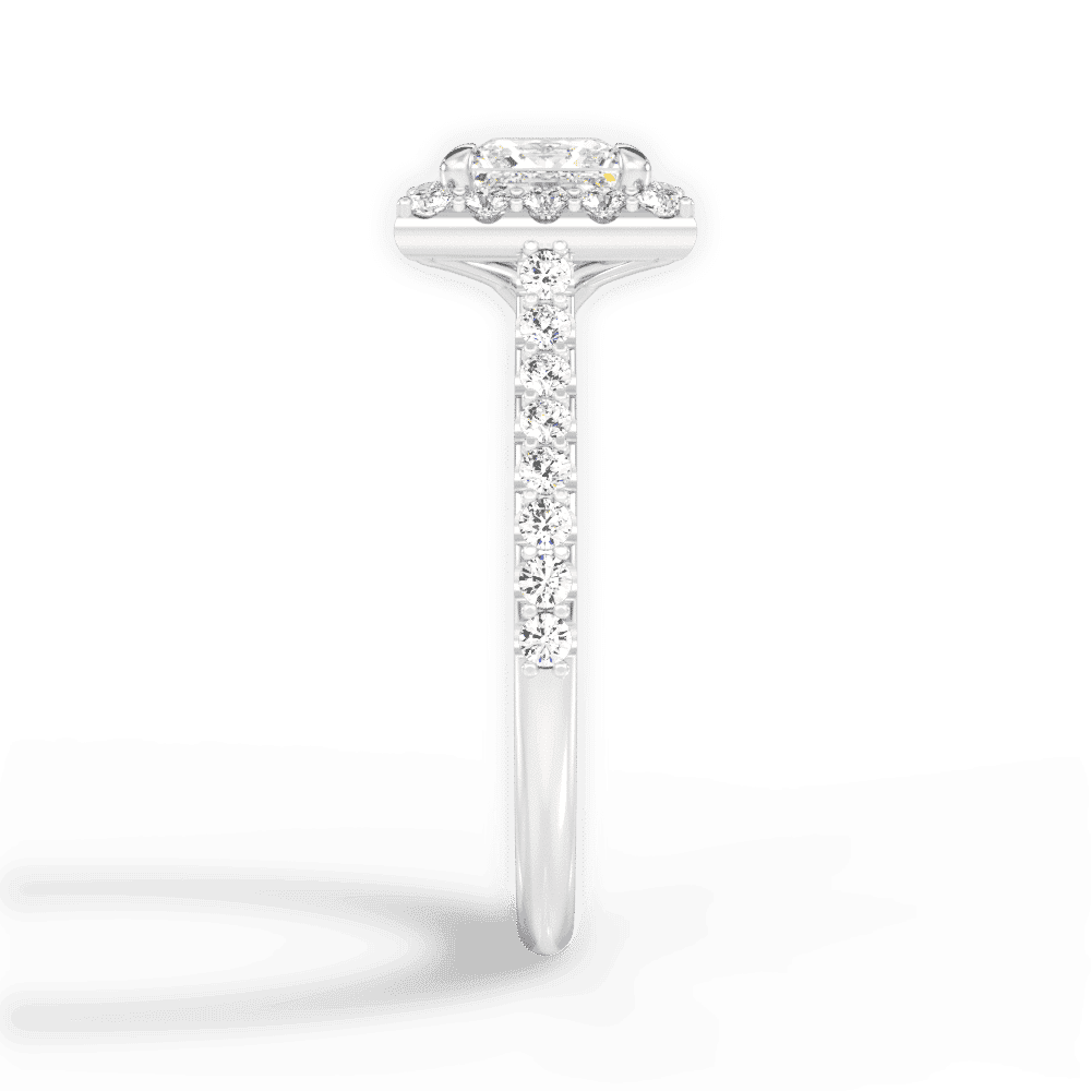 14kt White Gold/18kt White Gold/Platinum/princess/perspective