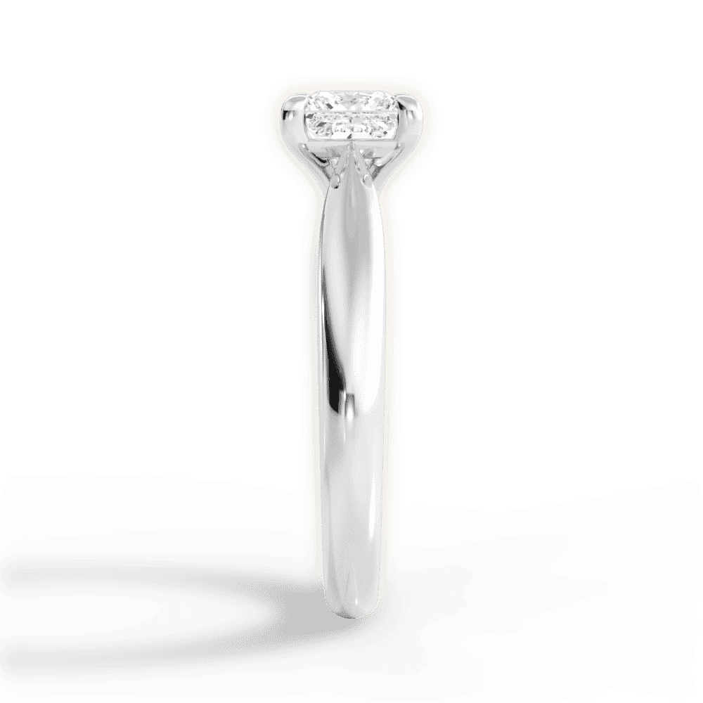 14kt White Gold/18kt White Gold/Platinum/princess/perspective