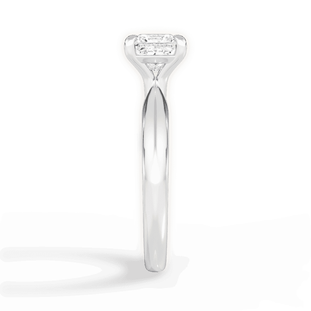 14kt White Gold/18kt White Gold/Platinum/princess/perspective