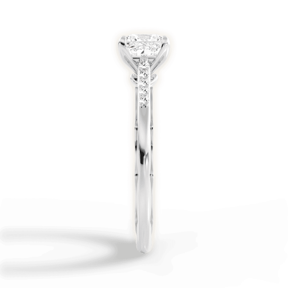 14kt White Gold/18kt White Gold/Platinum/princess/perspective