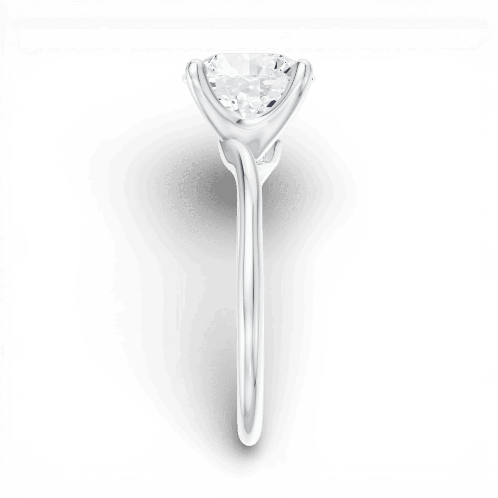 14kt white gold/18kt white gold/platinum/round/side