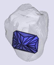 sarine