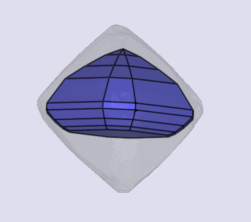 sarine