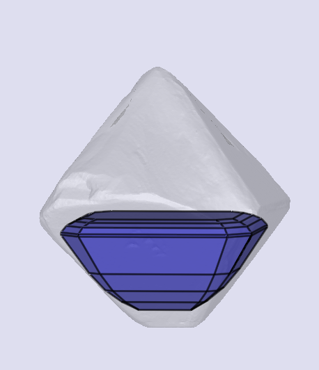 sarine