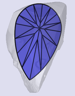 sarine