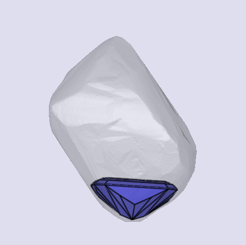 sarine