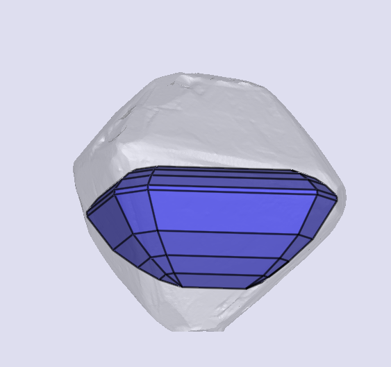 sarine