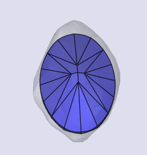sarine