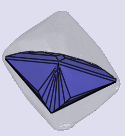 sarine