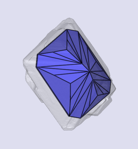 sarine