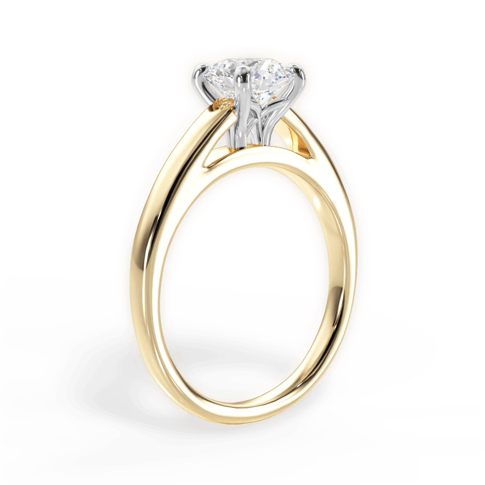 14kt Yellow Gold/18kt Yellow Gold/round/front