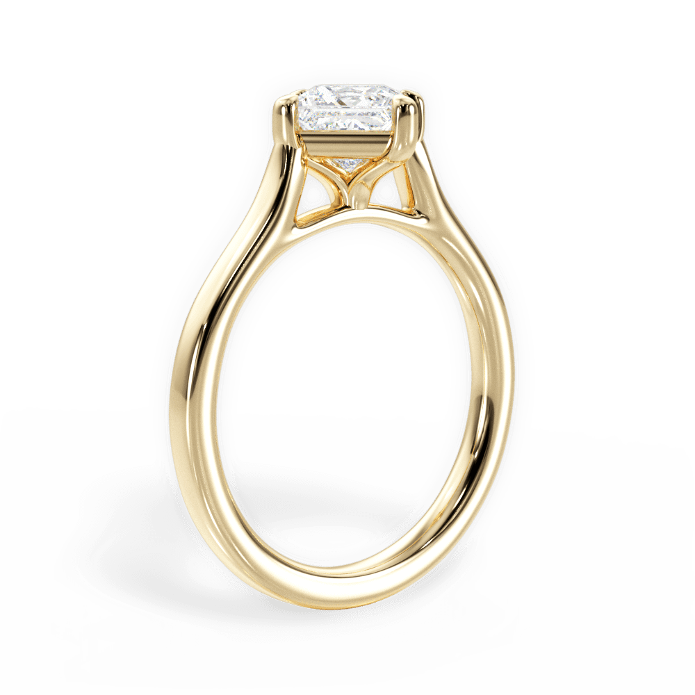 14kt Yellow Gold/18kt Yellow Gold/princess/front