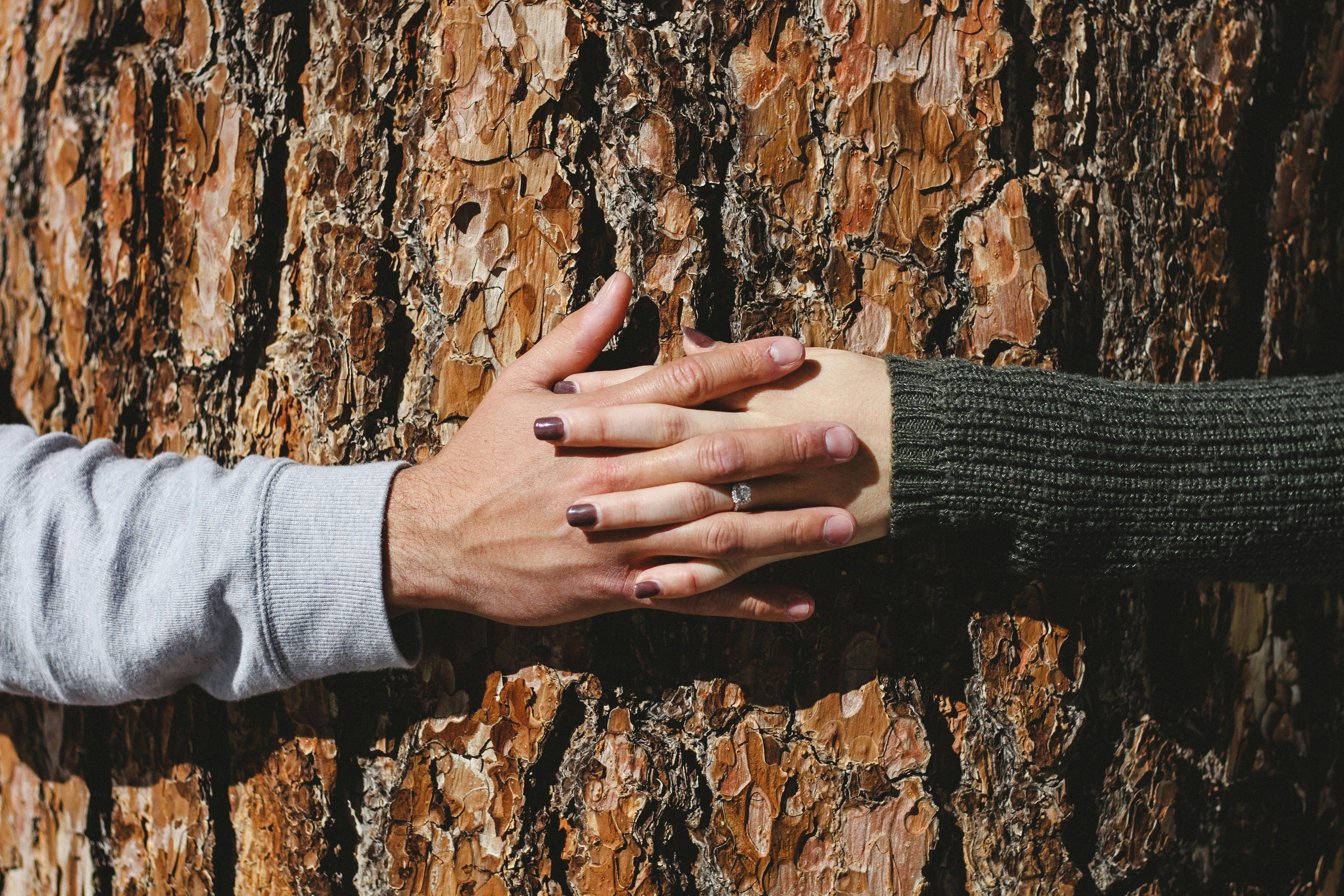 Sustainable Wedding and Engagement Rings For Women