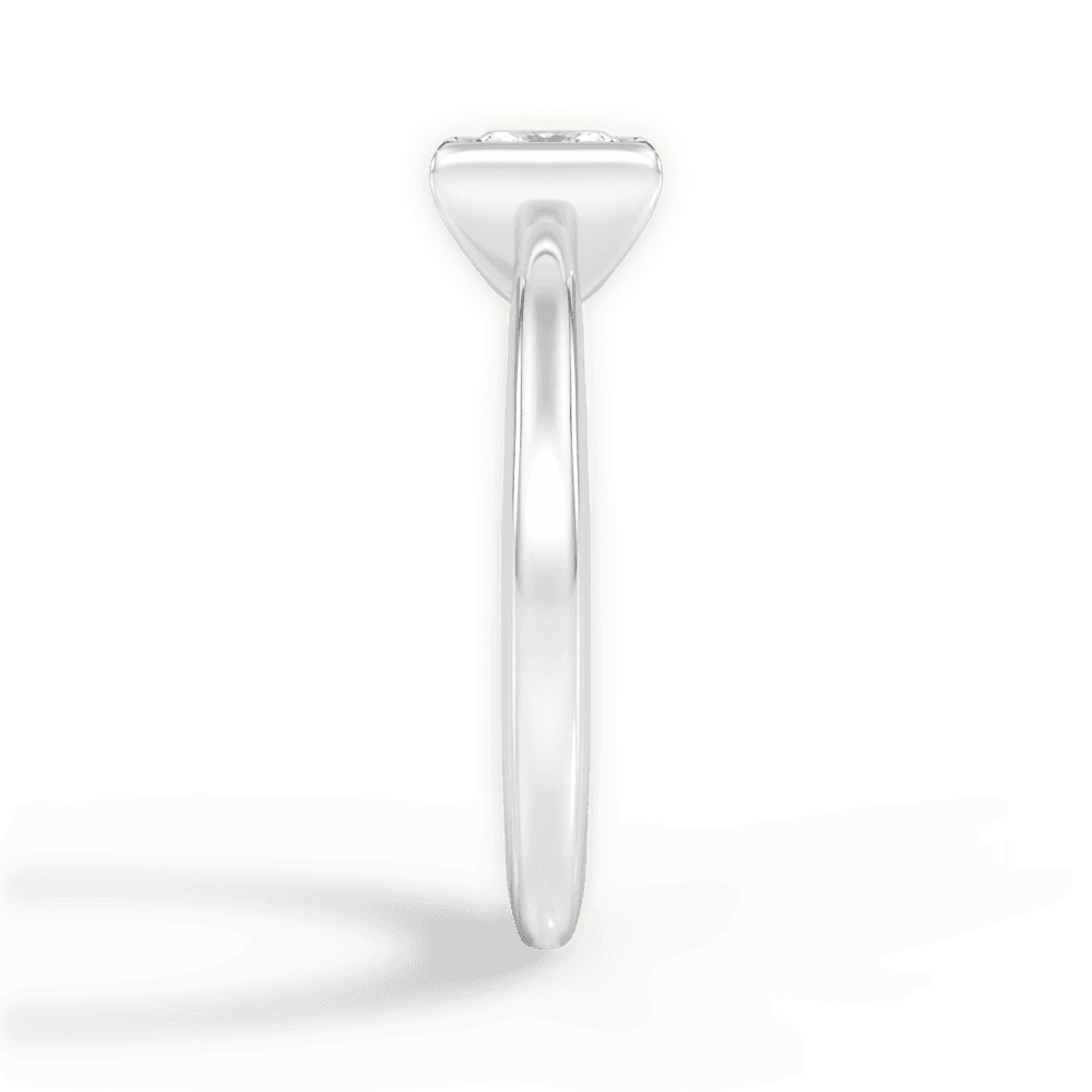 14kt White Gold/18kt White Gold/Platinum/princess/perspective