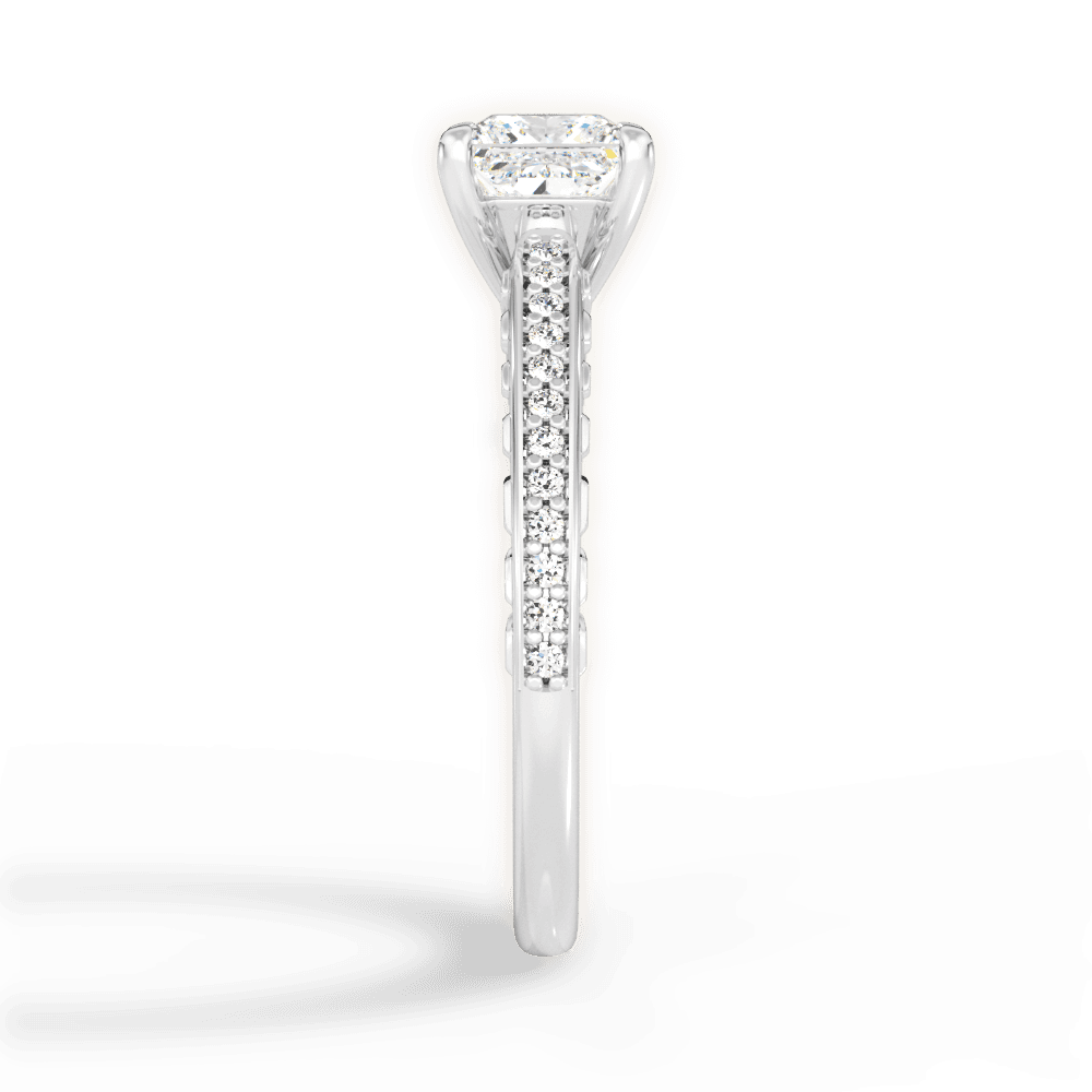 14kt White Gold/18kt White Gold/Platinum/princess/perspective
