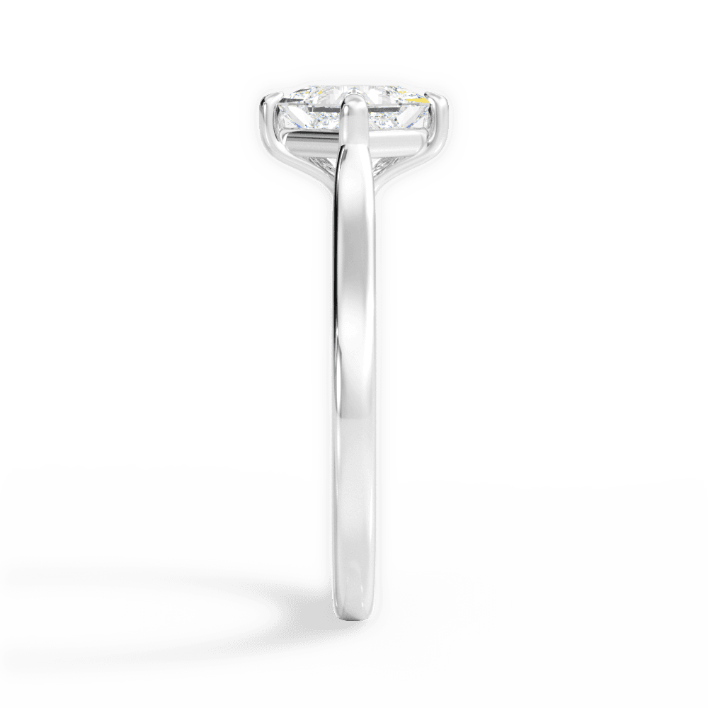 14kt White Gold/18kt White Gold/Platinum/princess/perspective