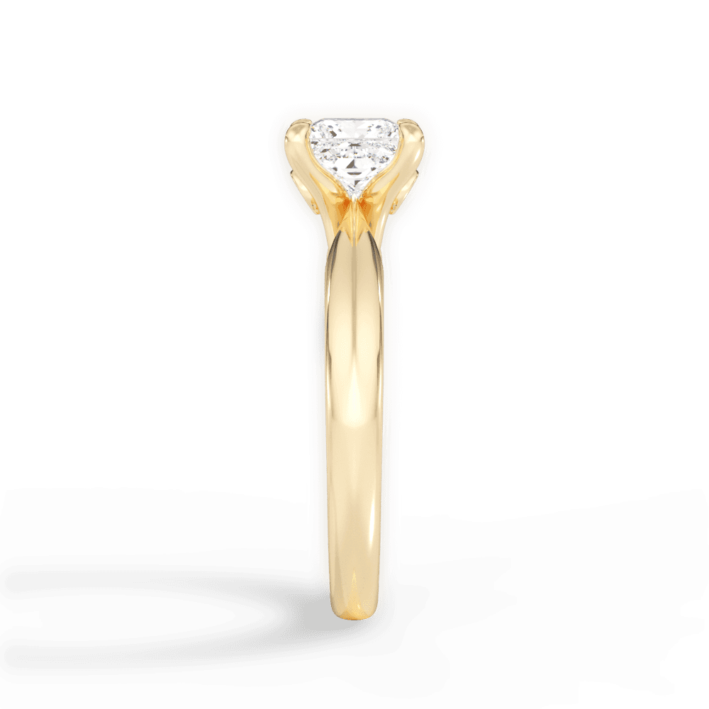 14kt Yellow Gold/18kt Yellow Gold/princess/perspective