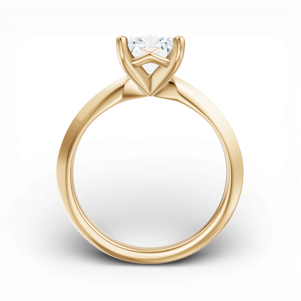 14kt yellow gold/18kt yellow gold/radiant/front